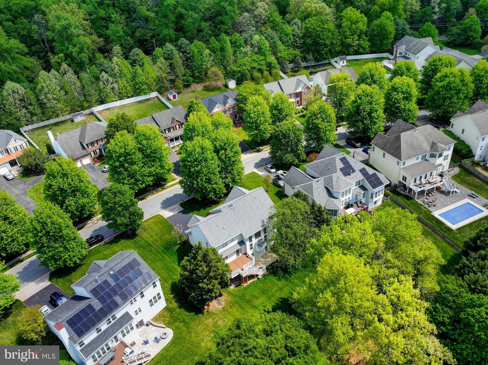 7116 Collingwood CT photo 8