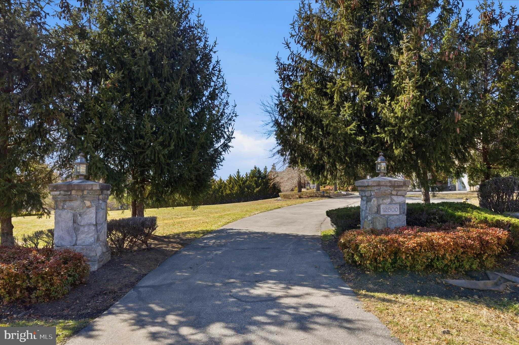 12600 Hill Creek Ln photo 88