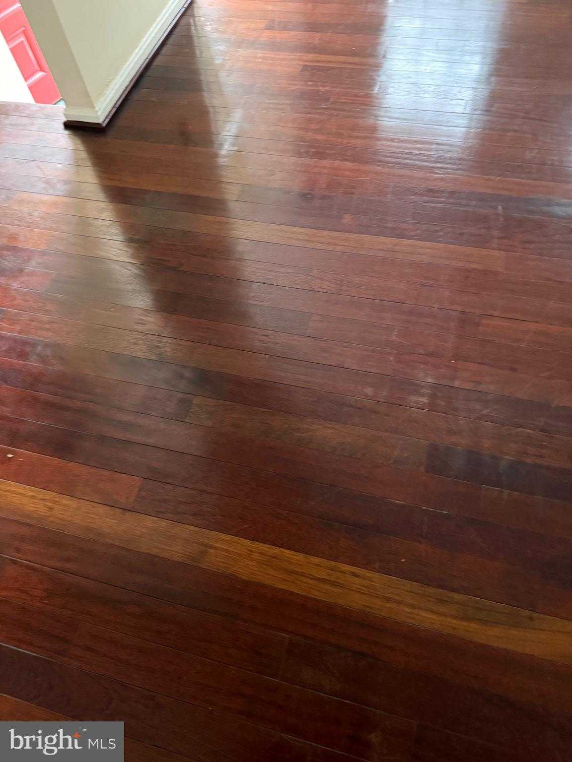 11348 Baroque Rd photo 17