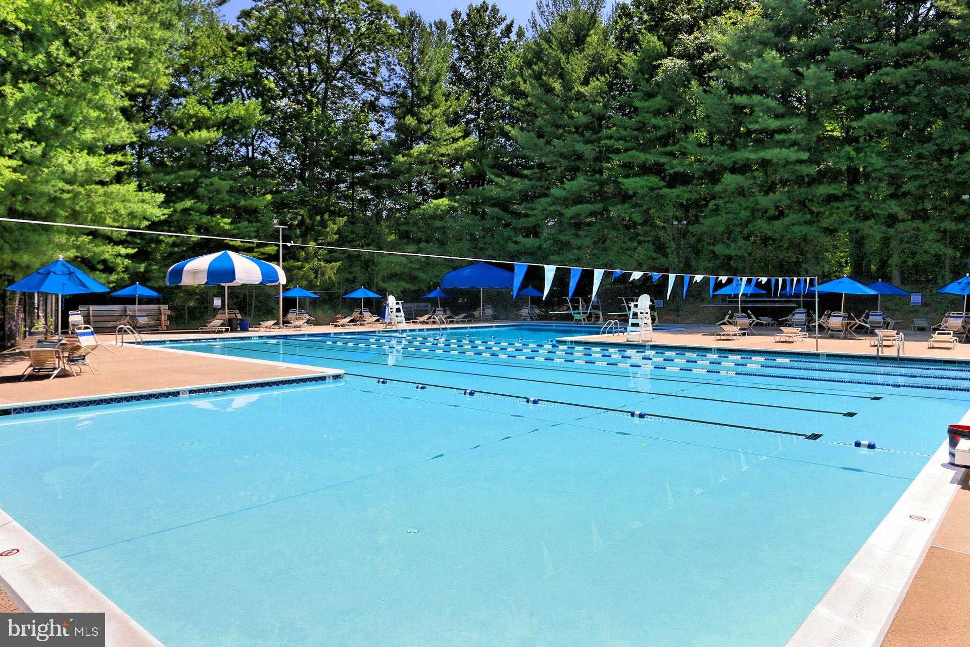 6327 Youngs Branch Dr photo 66