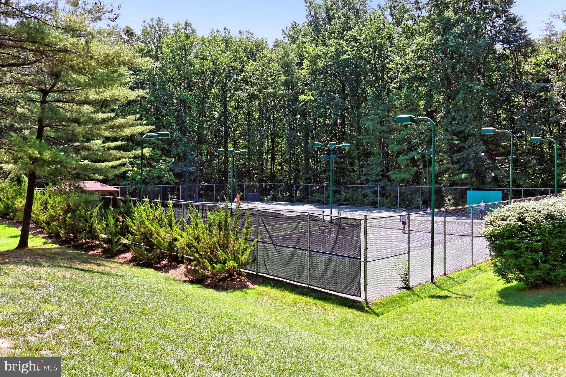 6327 Youngs Branch Dr photo 69