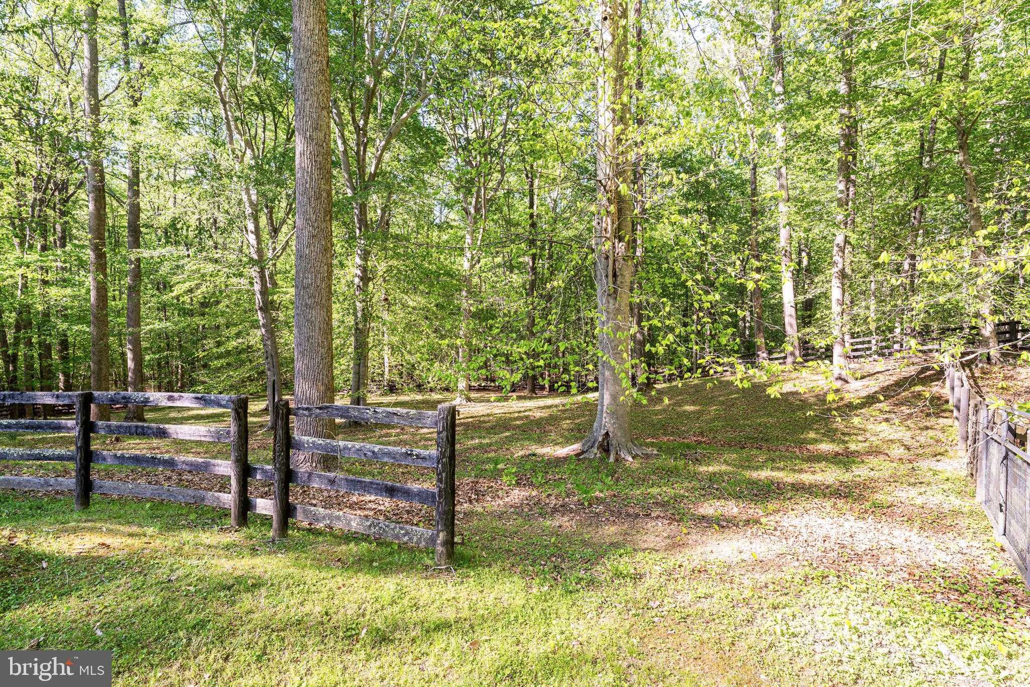 125 Eagles Mere Rd photo 53