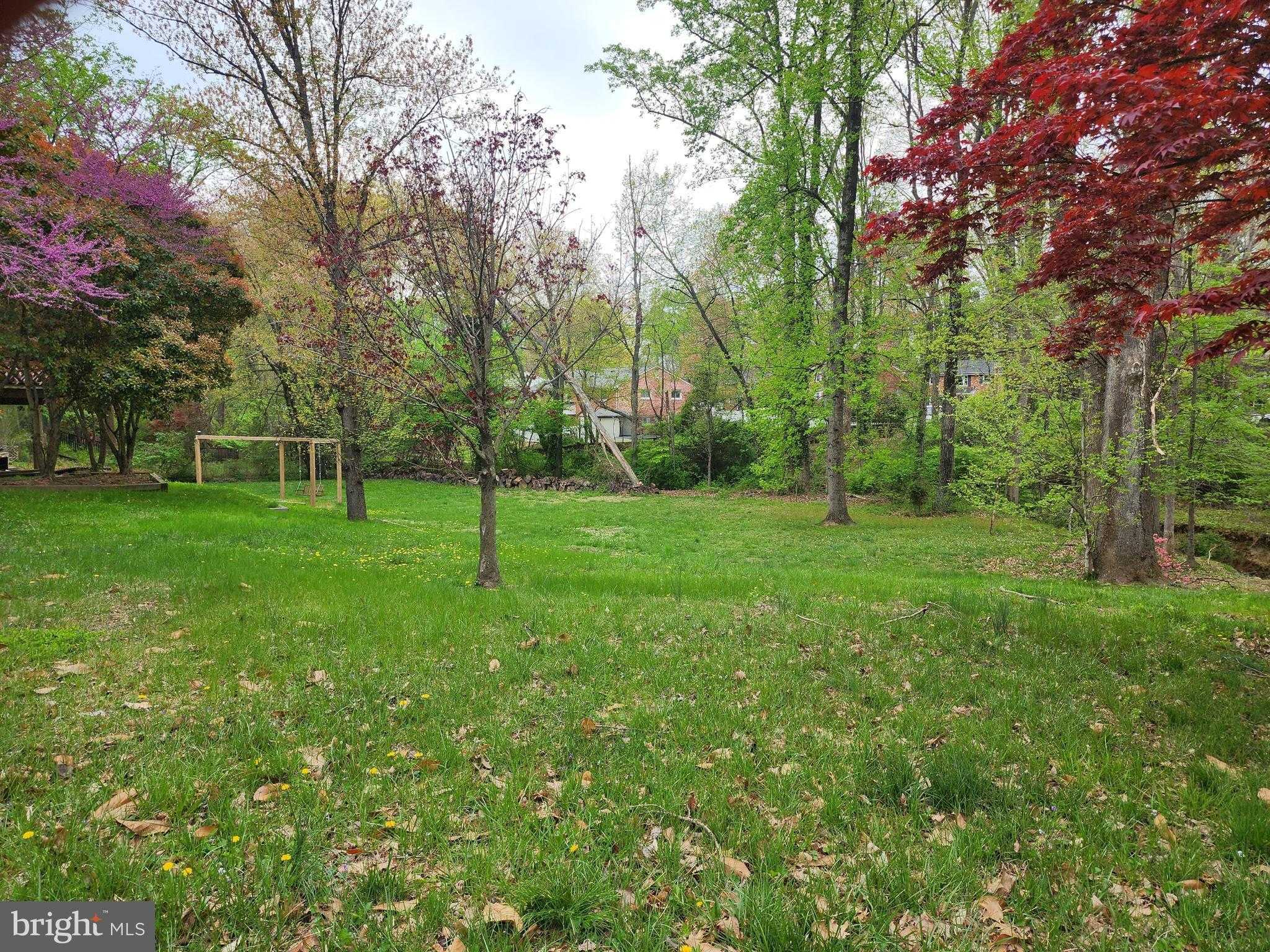 7669 Long Pine Dr photo 5