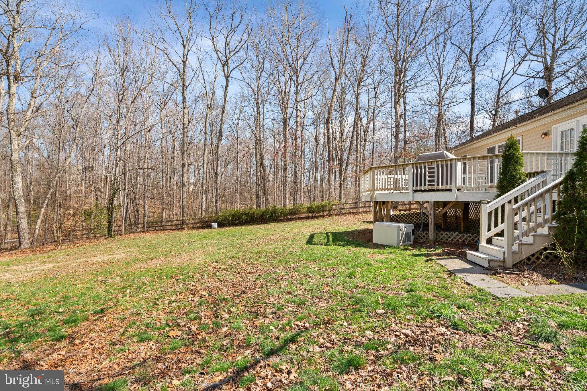 28485 Morel Way photo 38