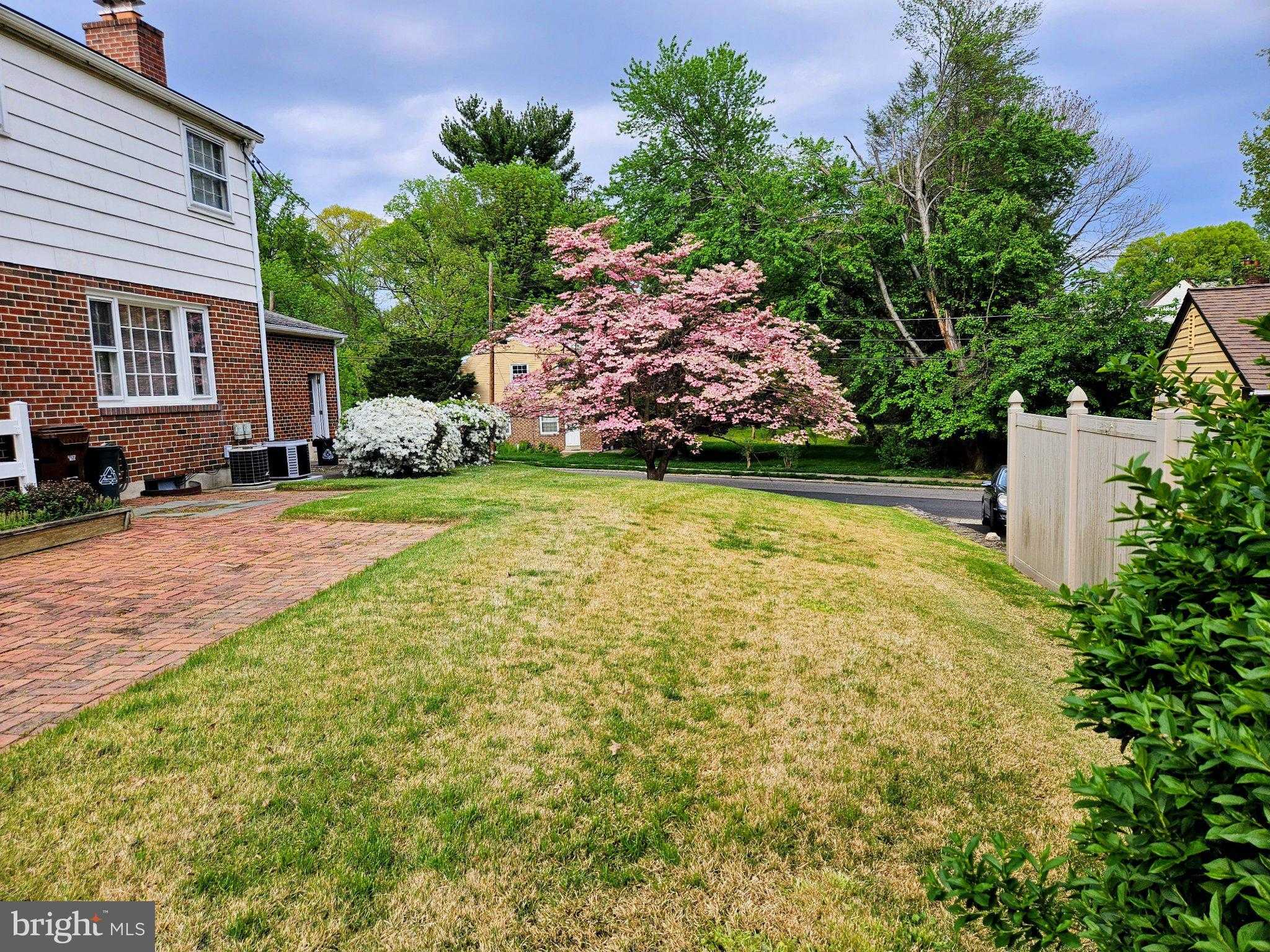 144 Bryn Mawr Ave photo 20