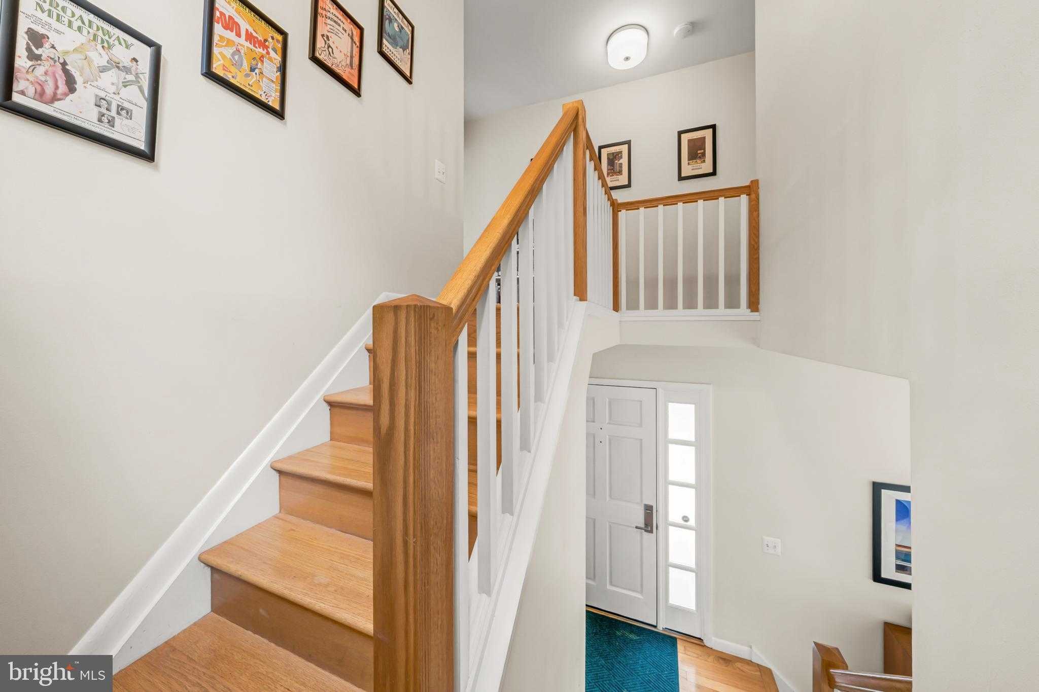 507 Carlisle Dr photo 19