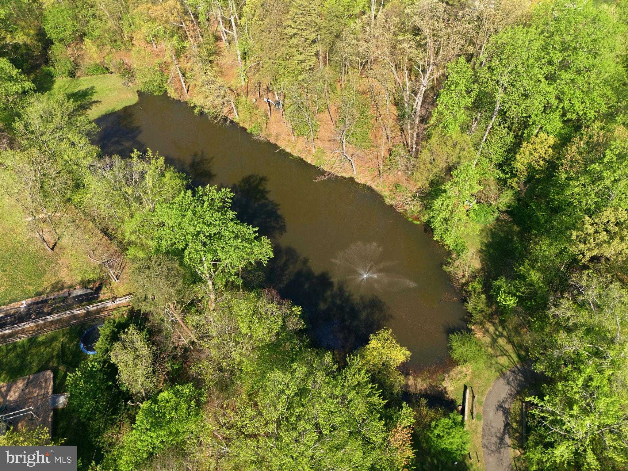 131 Tarragon Ln photo 43