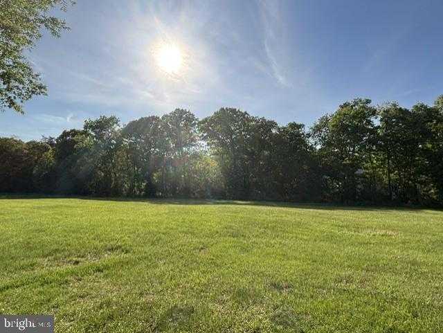 12822 Willow Glen CT photo 7