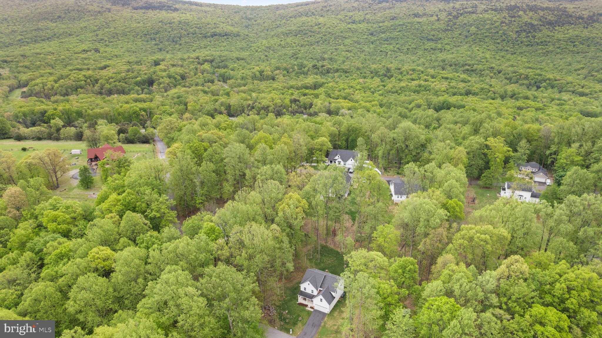 237 Speaks Ln photo 34