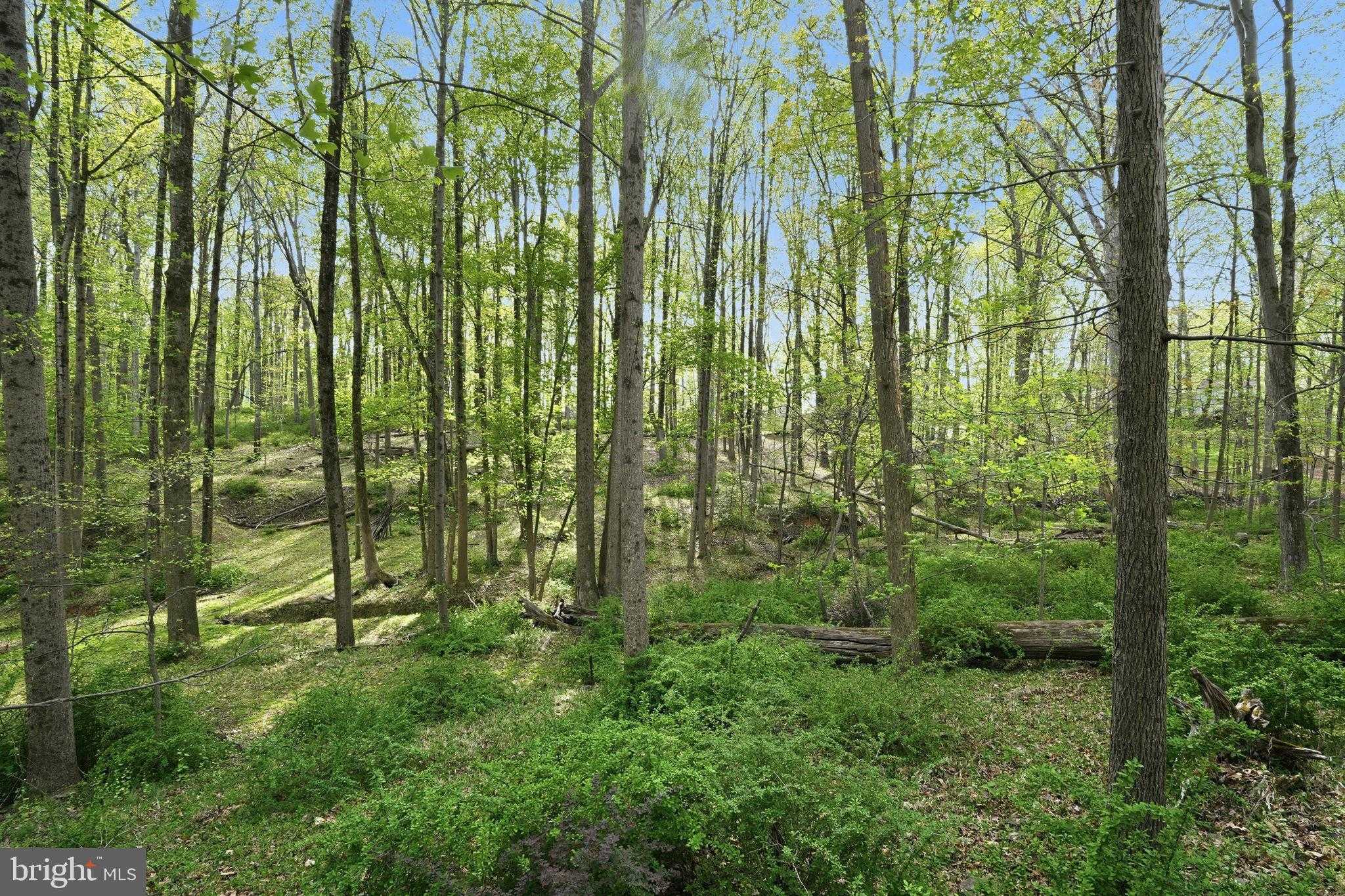 17107 Overhill Rd photo 33