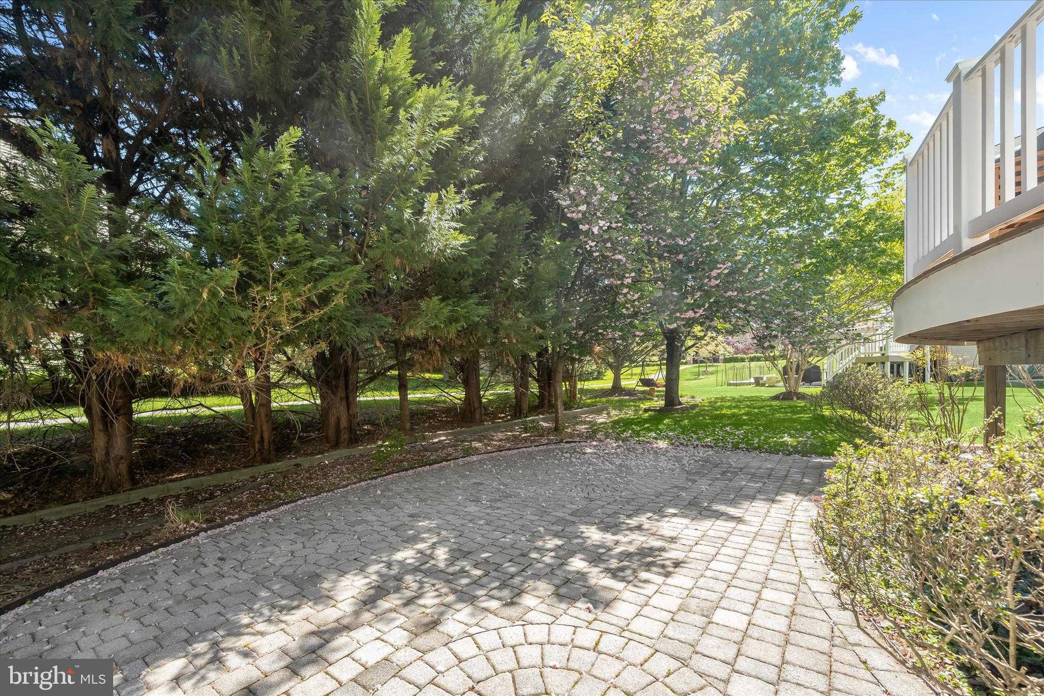 10213 Deep Skies Dr photo 48