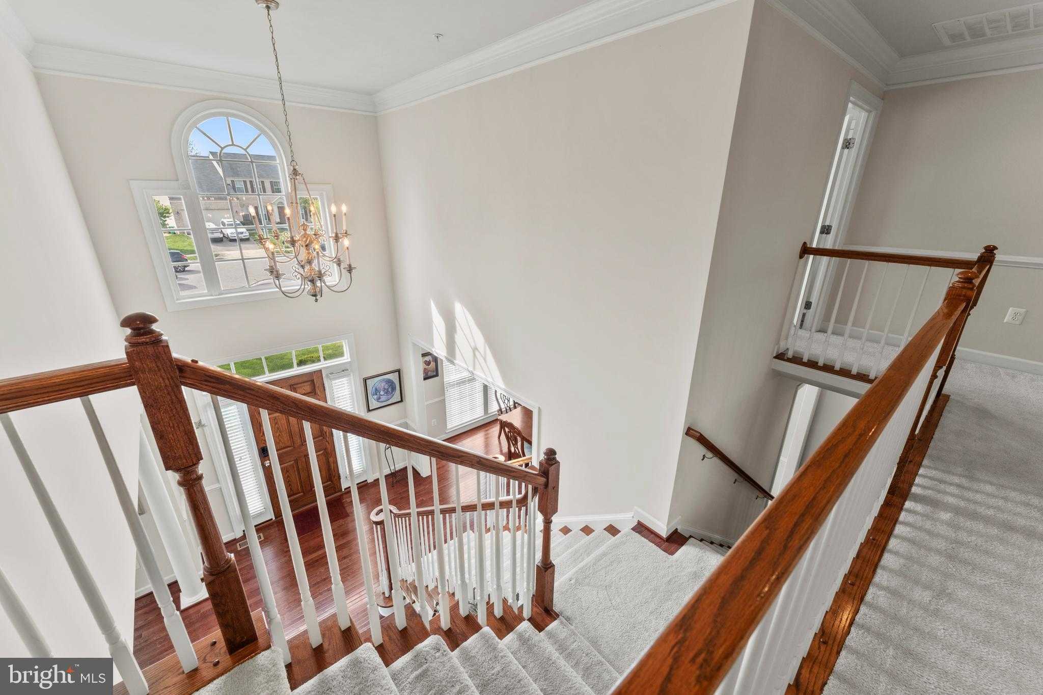 10916 Sir Paul Pl photo 36