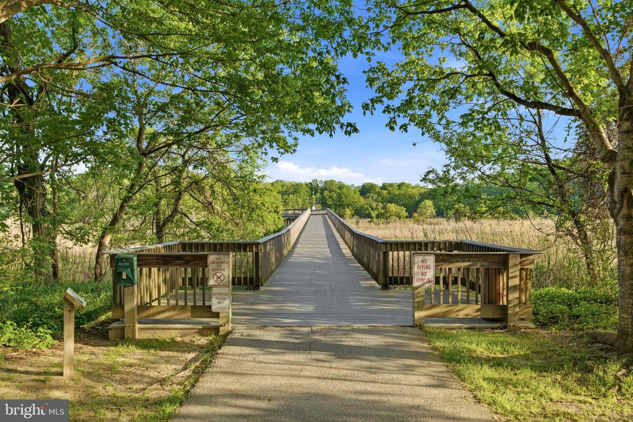 7906 Delores CT photo 50