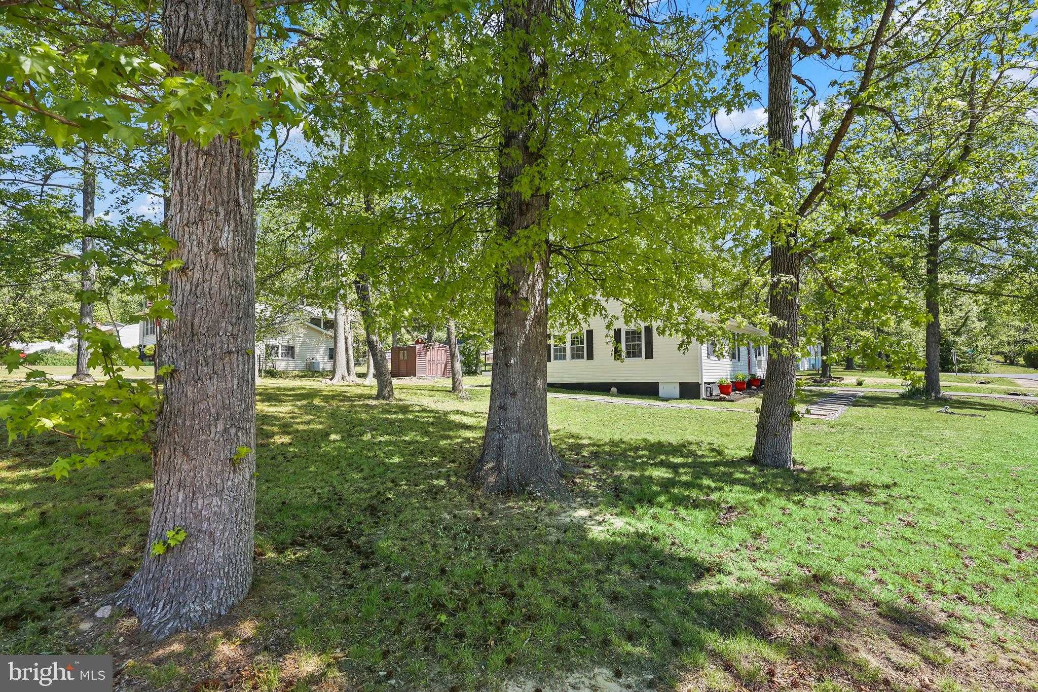 401 Cleveland CT photo 29