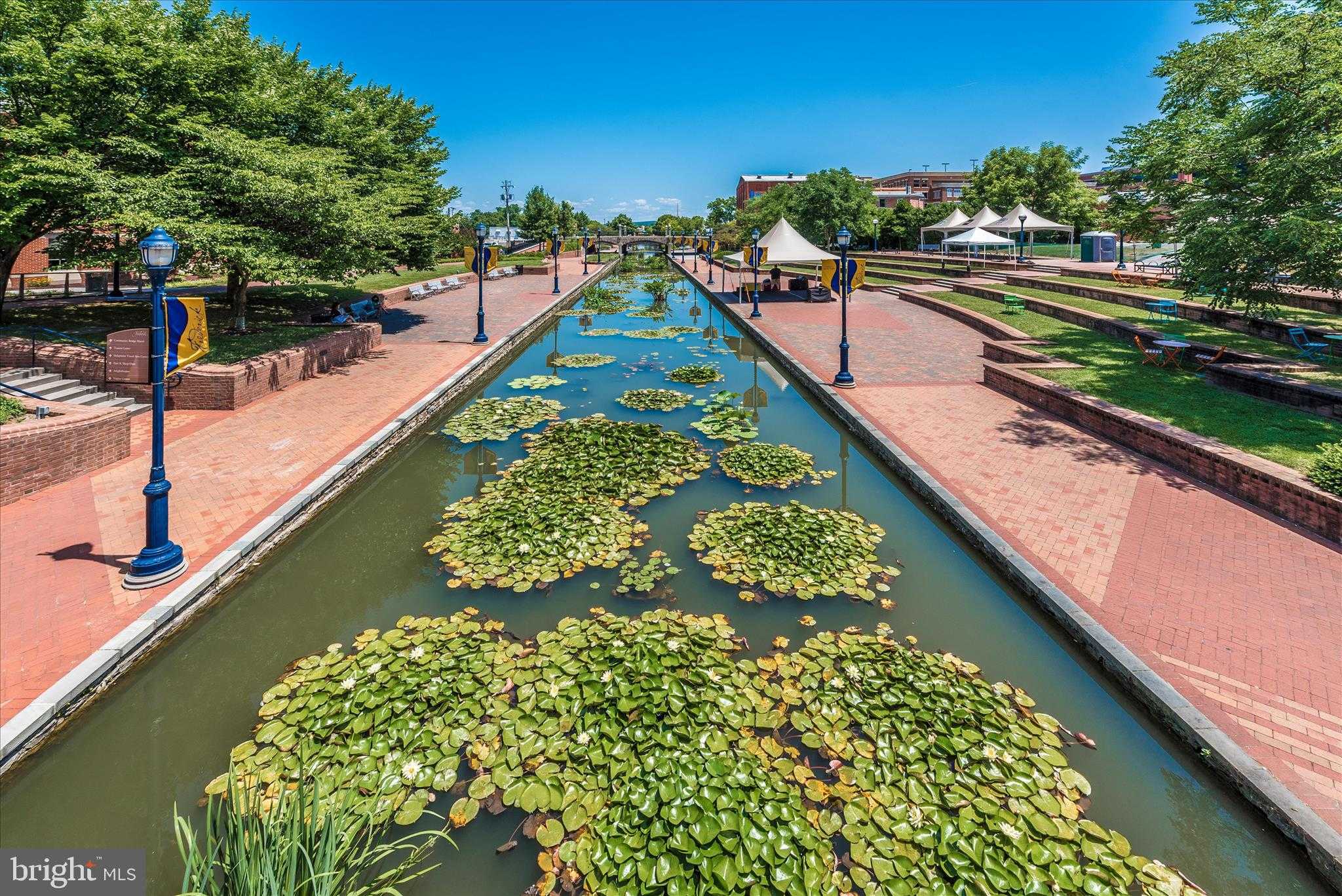 35 E All Saints St Unit 206 photo 59