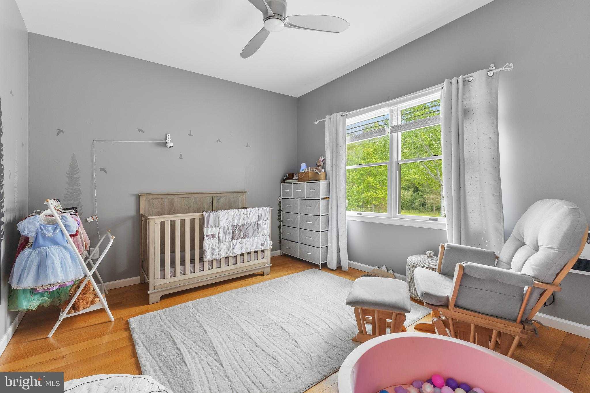 143 Clemencia Rd photo 34