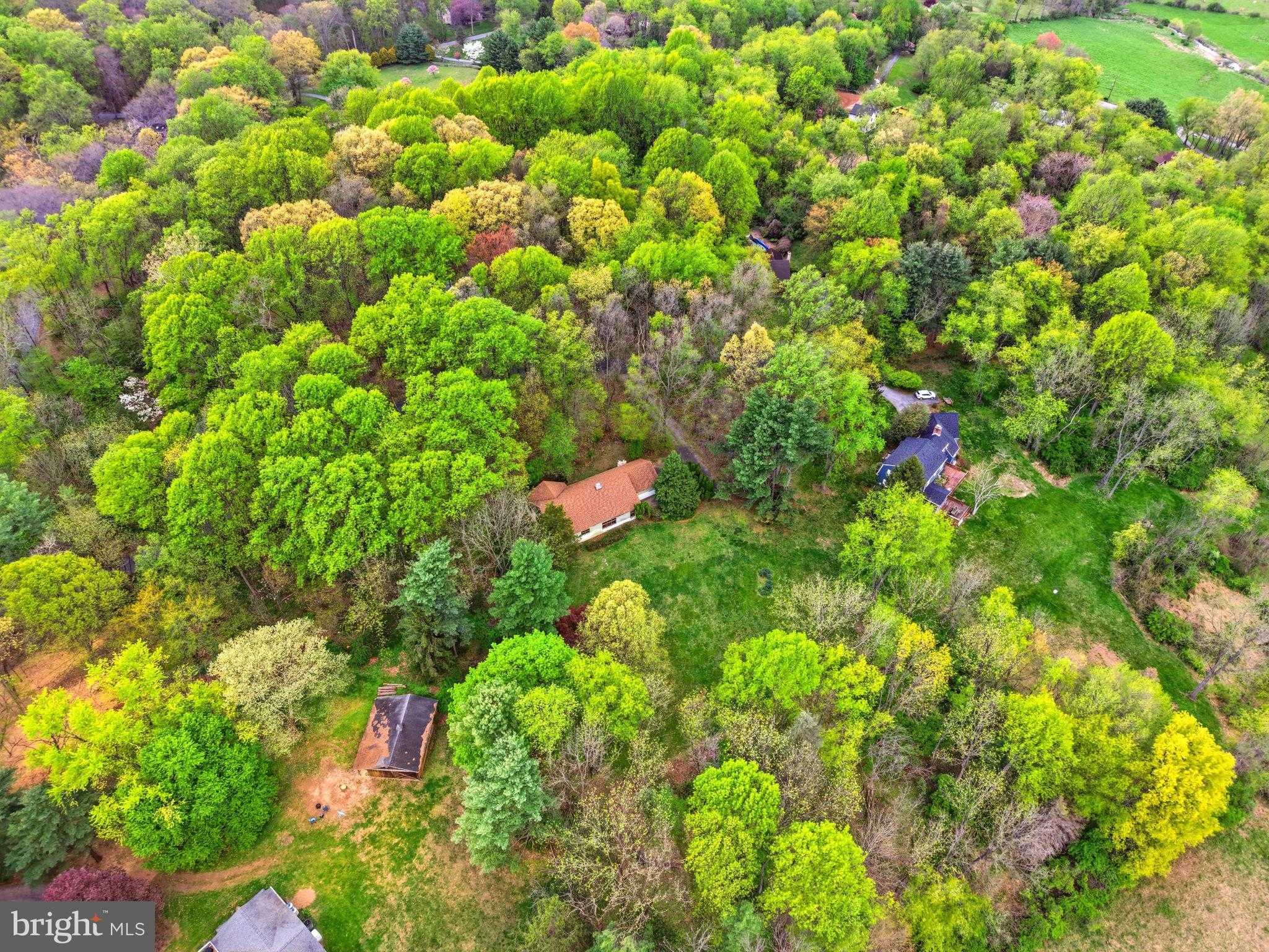 731 Brintons Wood Rd photo 70