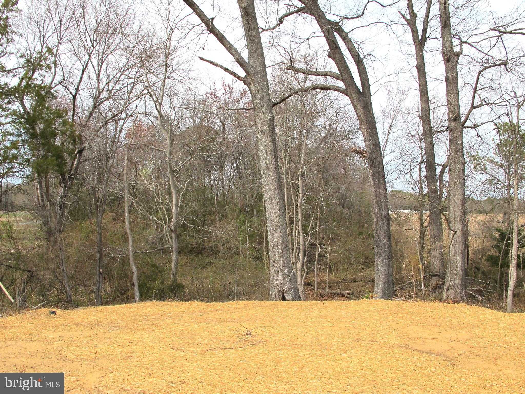 1252 Shore Dr photo 31