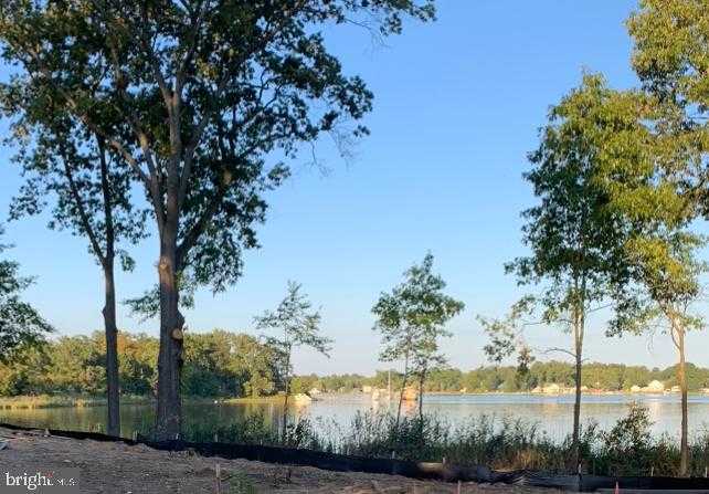 1252 Shore Dr photo 5