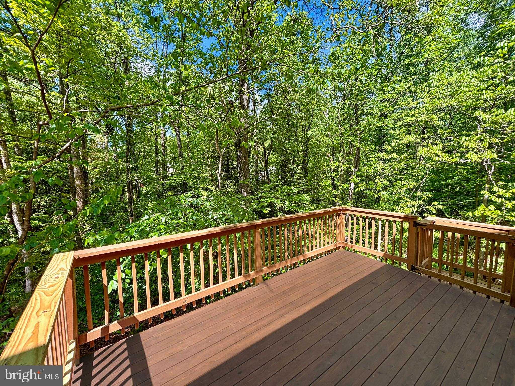 2319 Rocky Point Pkwy photo 5