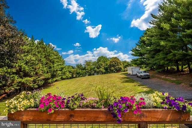 13448 Old Annapolis Rd photo 6