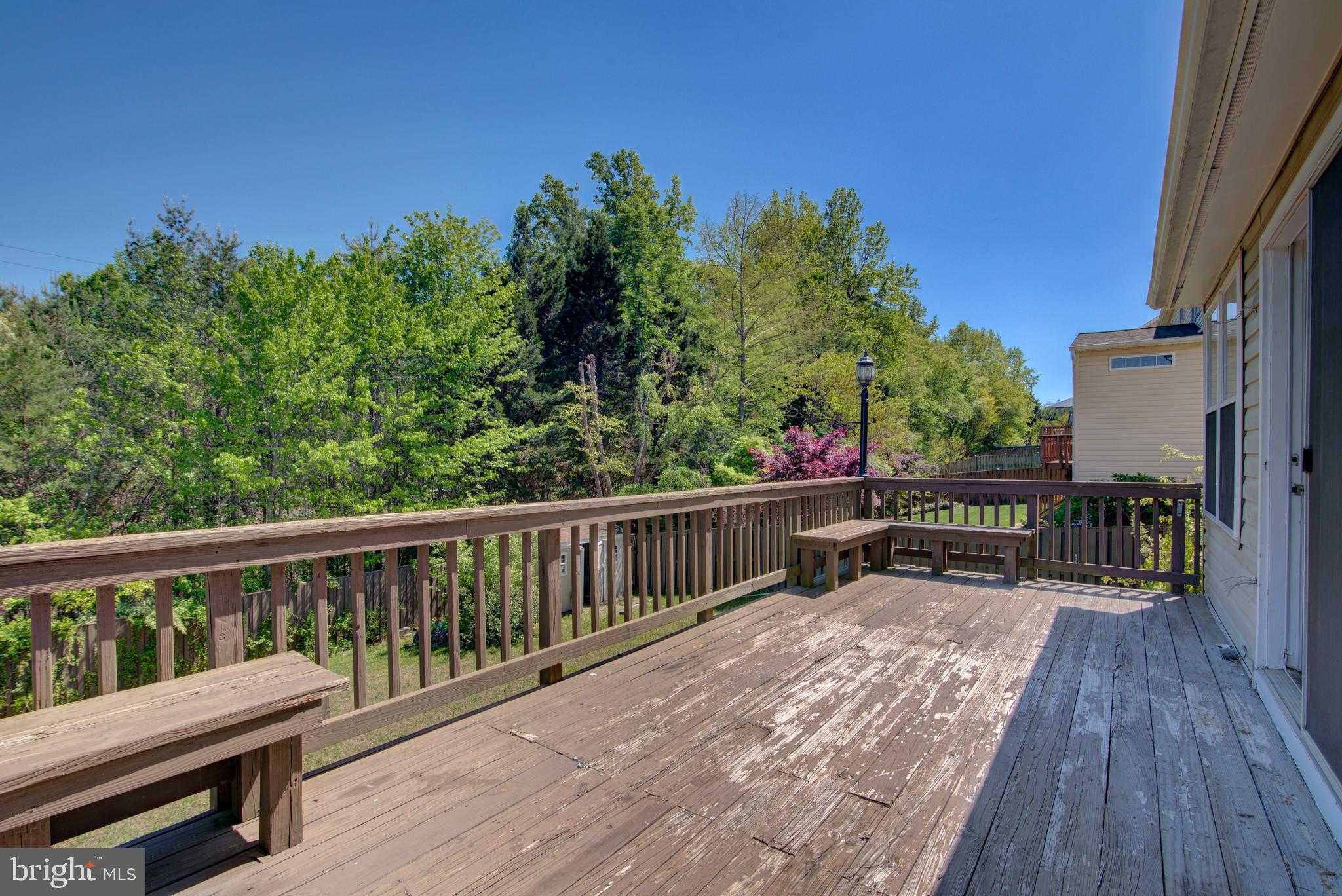 6137 Deer Ridge Trl photo 10