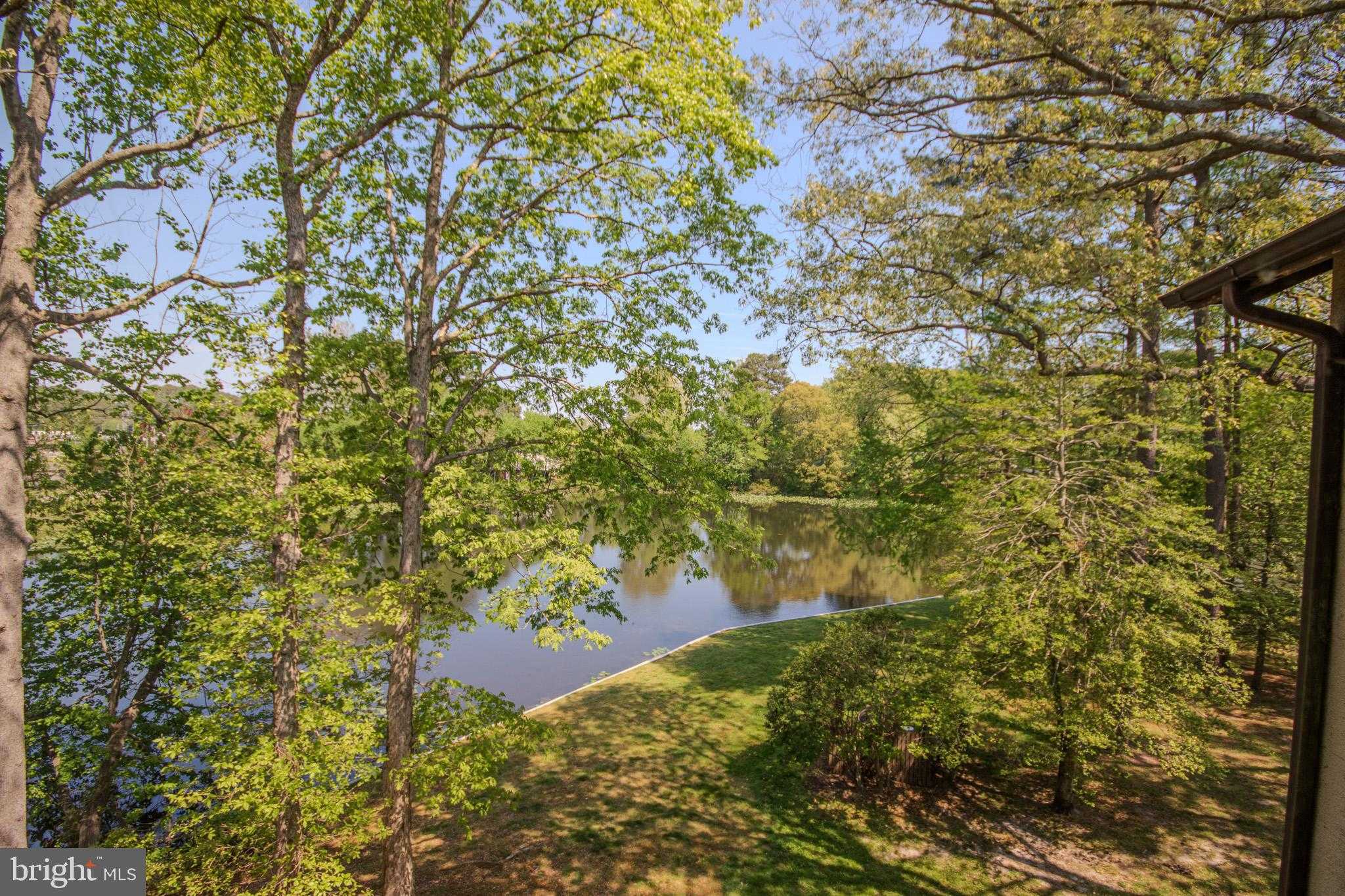 231 Canal Park Dr Apt A204 photo 17