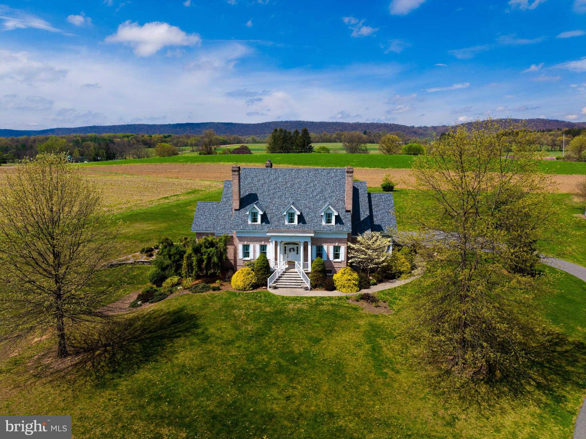 111 Church Rd photo 80