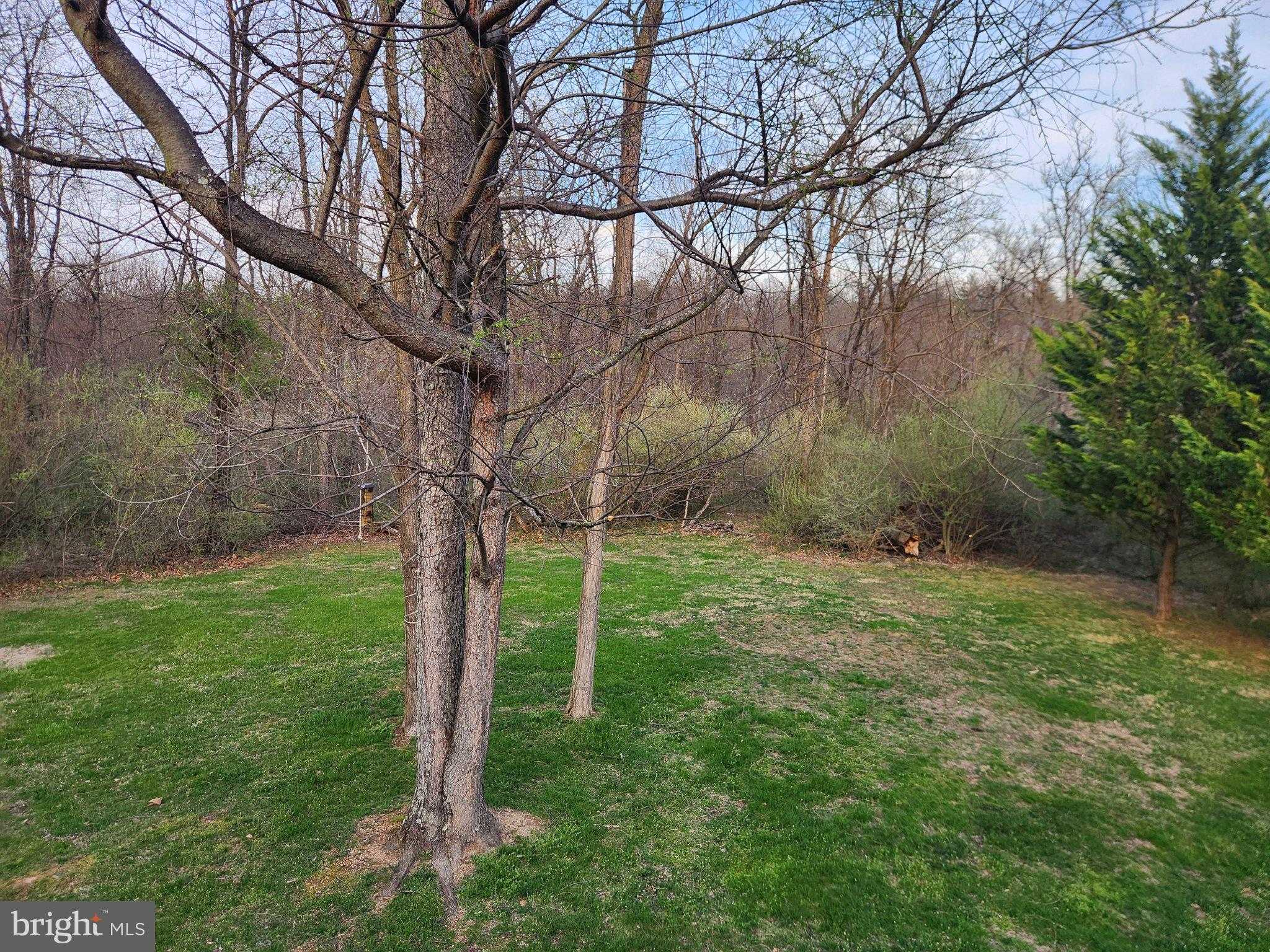 81 Cannon Dr photo 18