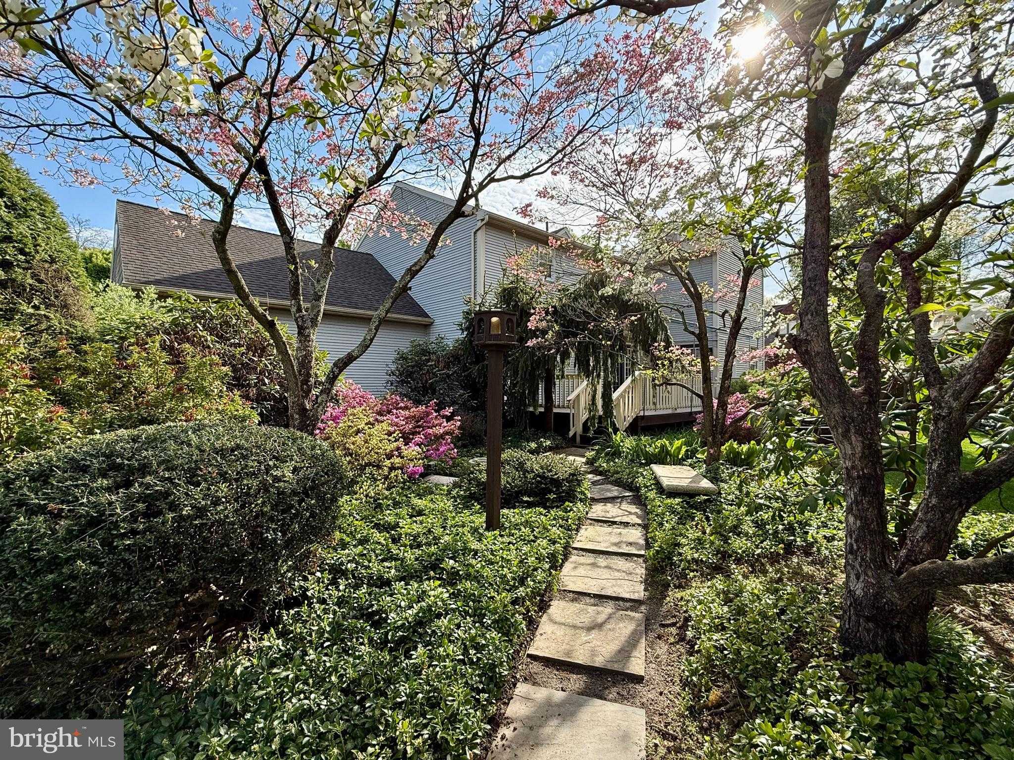 100 Deborah Dr photo 9