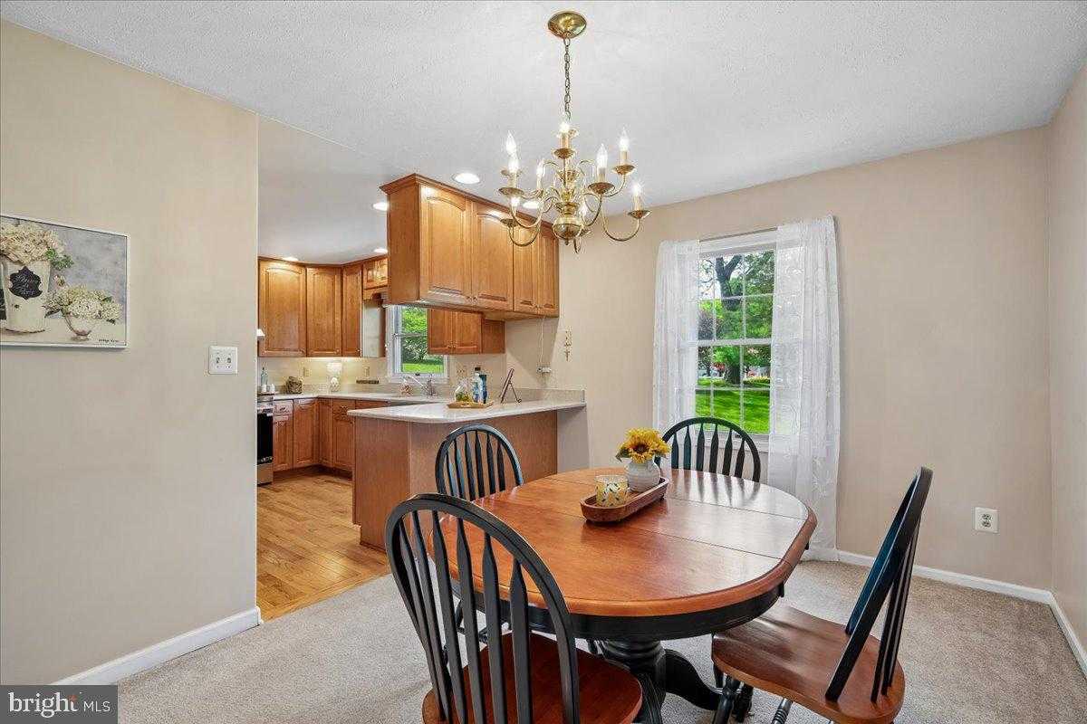 4661 Palomino CT photo 18