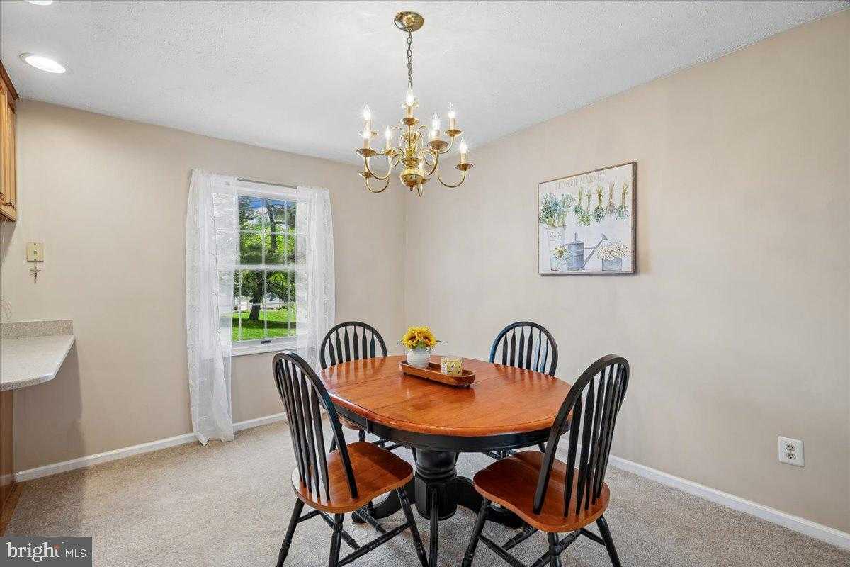 4661 Palomino CT photo 19