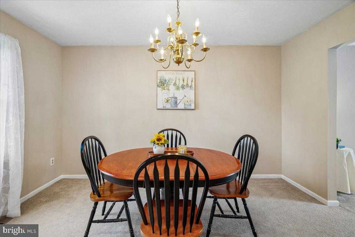 4661 Palomino CT photo 20