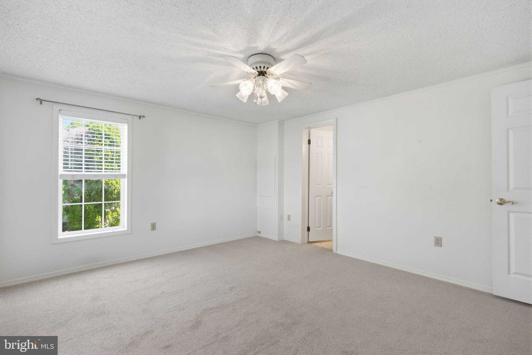 119 Goldenrod Xing E photo 22