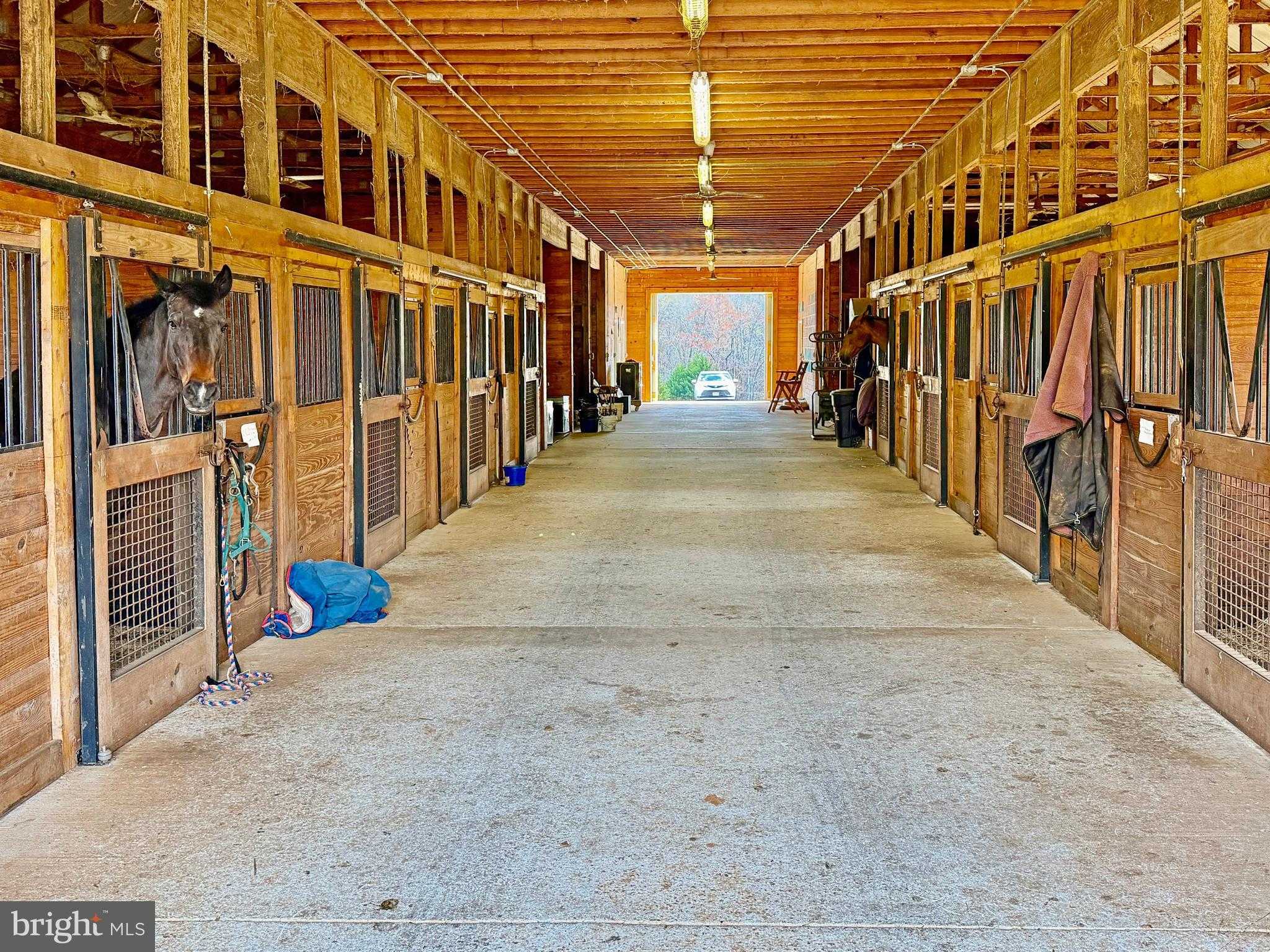 6277 Griffinsburg Rd photo 19