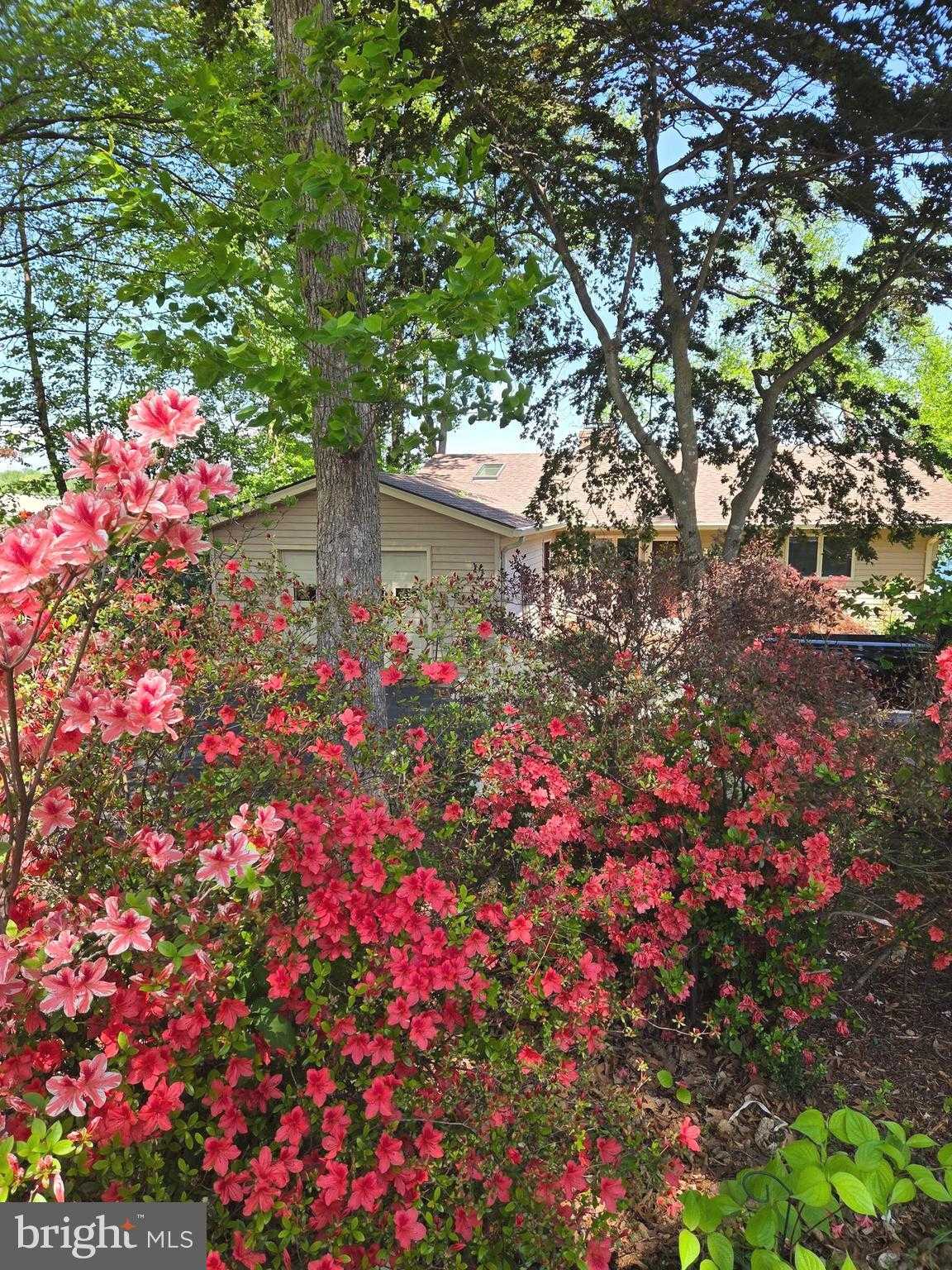 126 Green Spring Rd photo 8