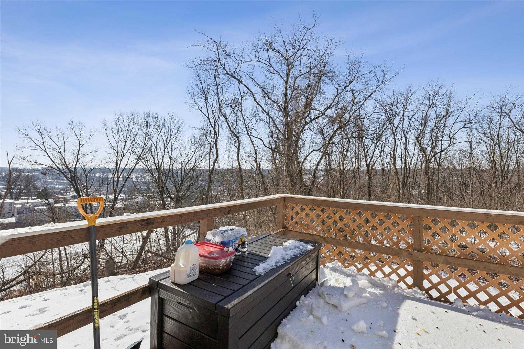 207 Delmar St photo 28