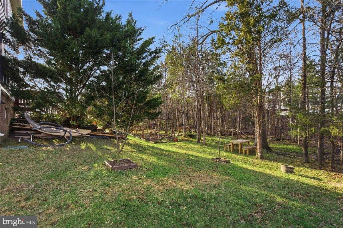 11912 Ricketts Battery Dr photo 47