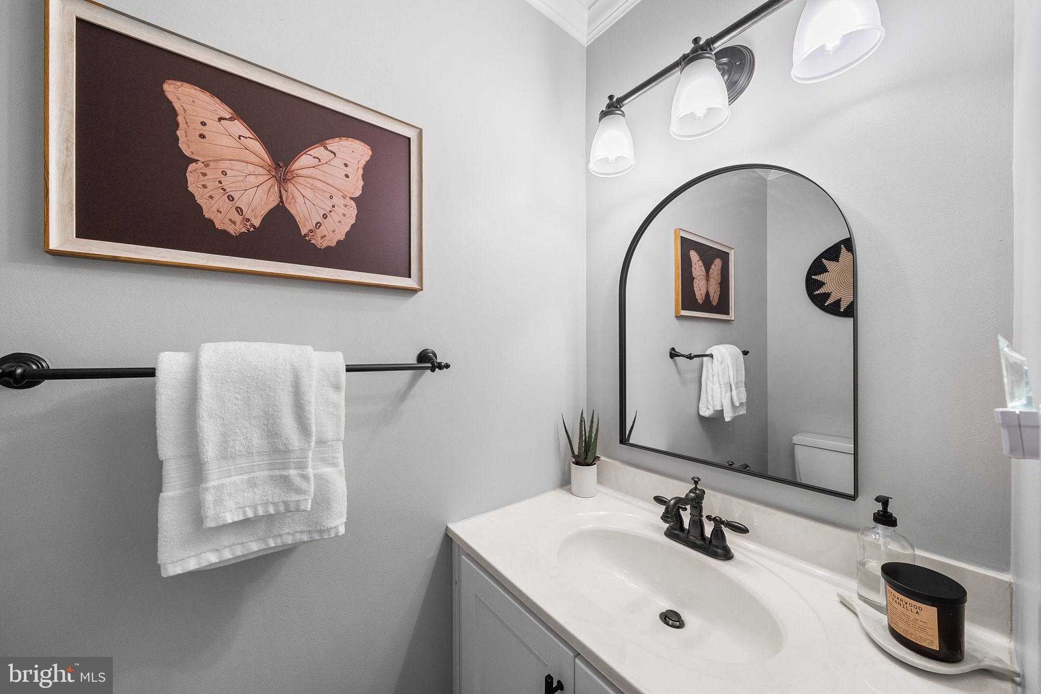 3720 Mount Airey Ln photo 11