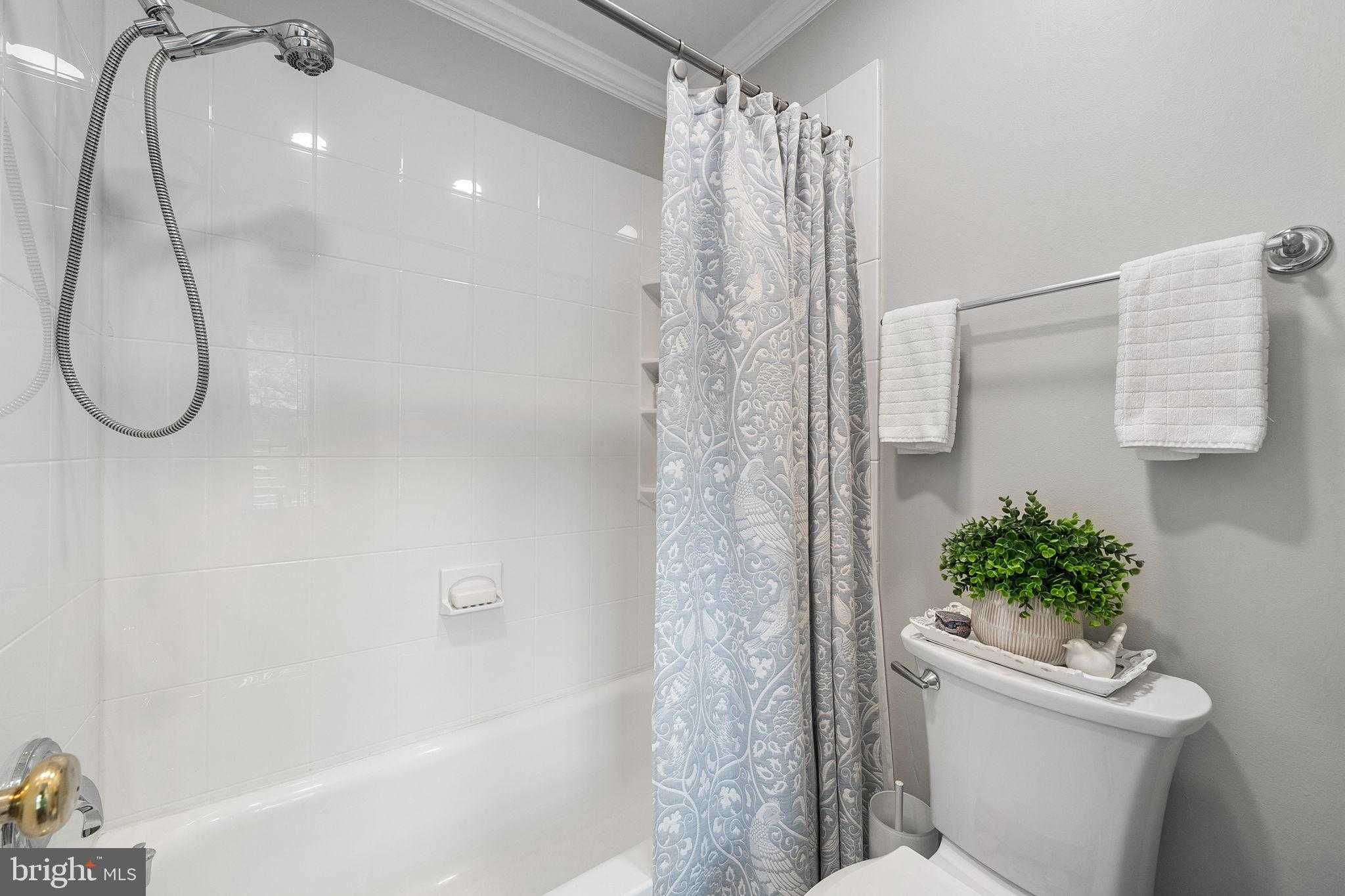 3720 Mount Airey Ln photo 16