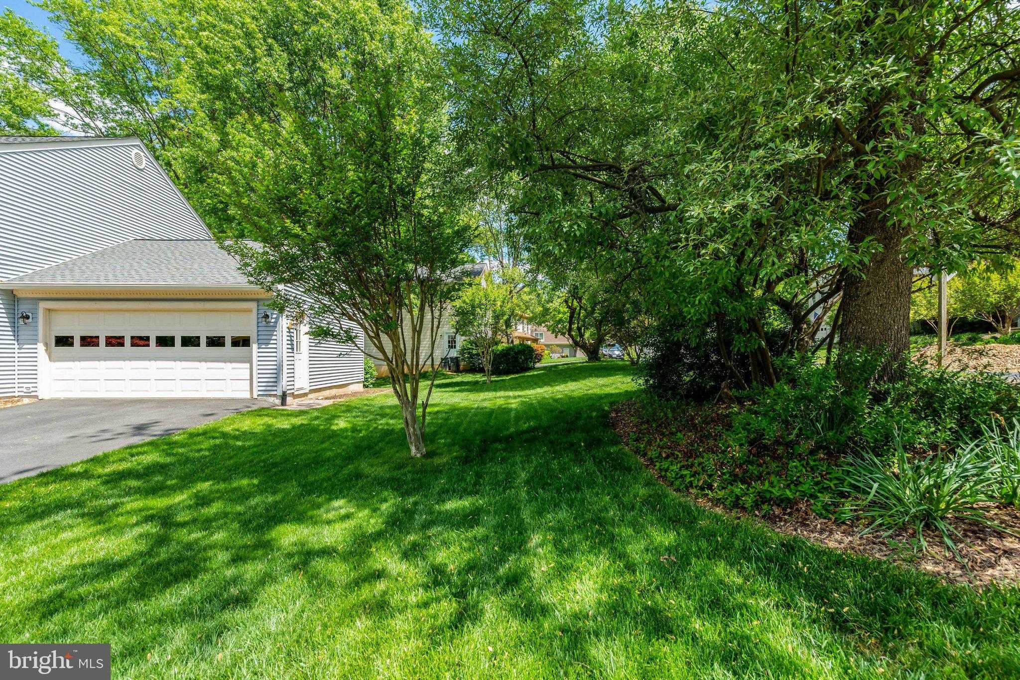 10354 Steamboat Landing Ln photo 6