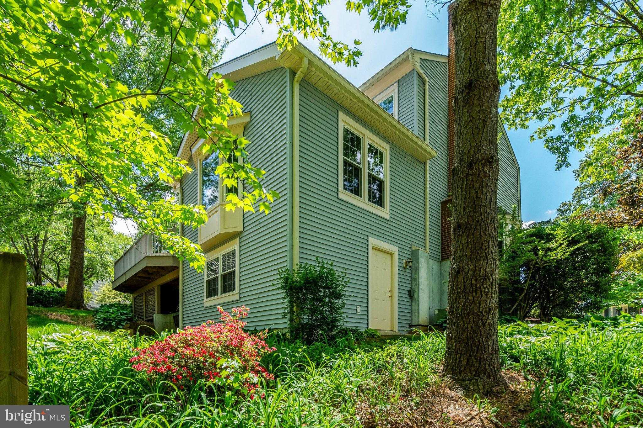 10354 Steamboat Landing Ln photo 79