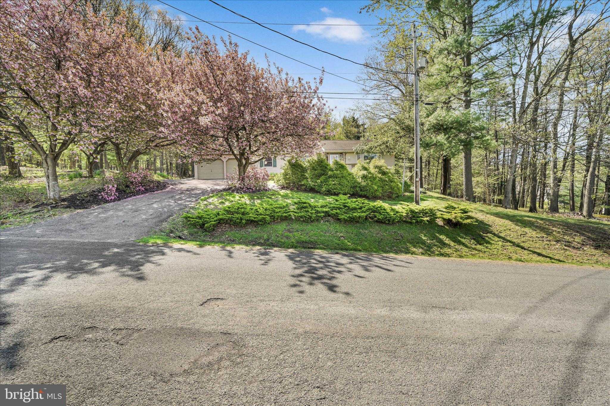 2377 Stallion Dr photo 2