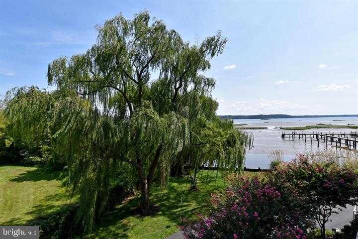 1250 S Washington St photo 12