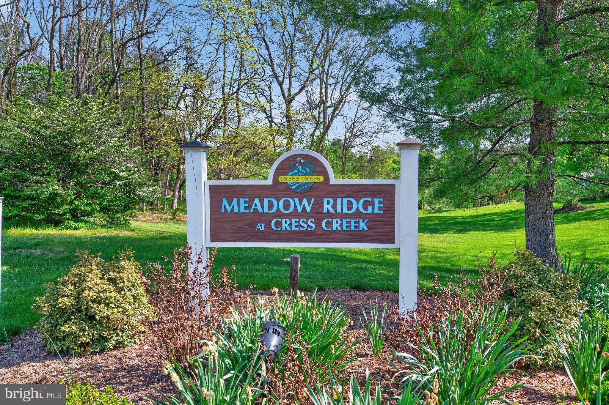 250 Meadow Ridge Dr photo 45