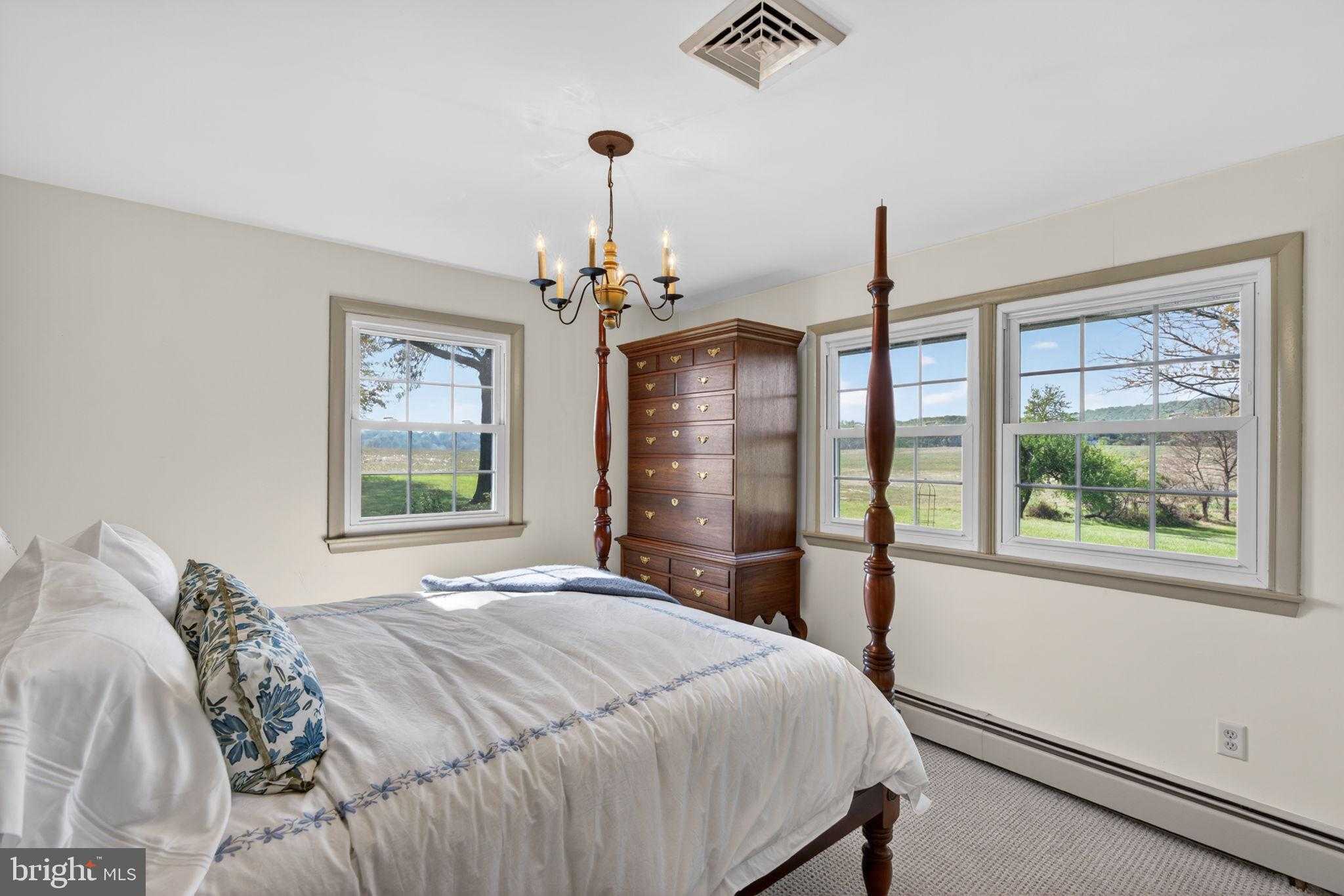 185 Black Matt Rd photo 20