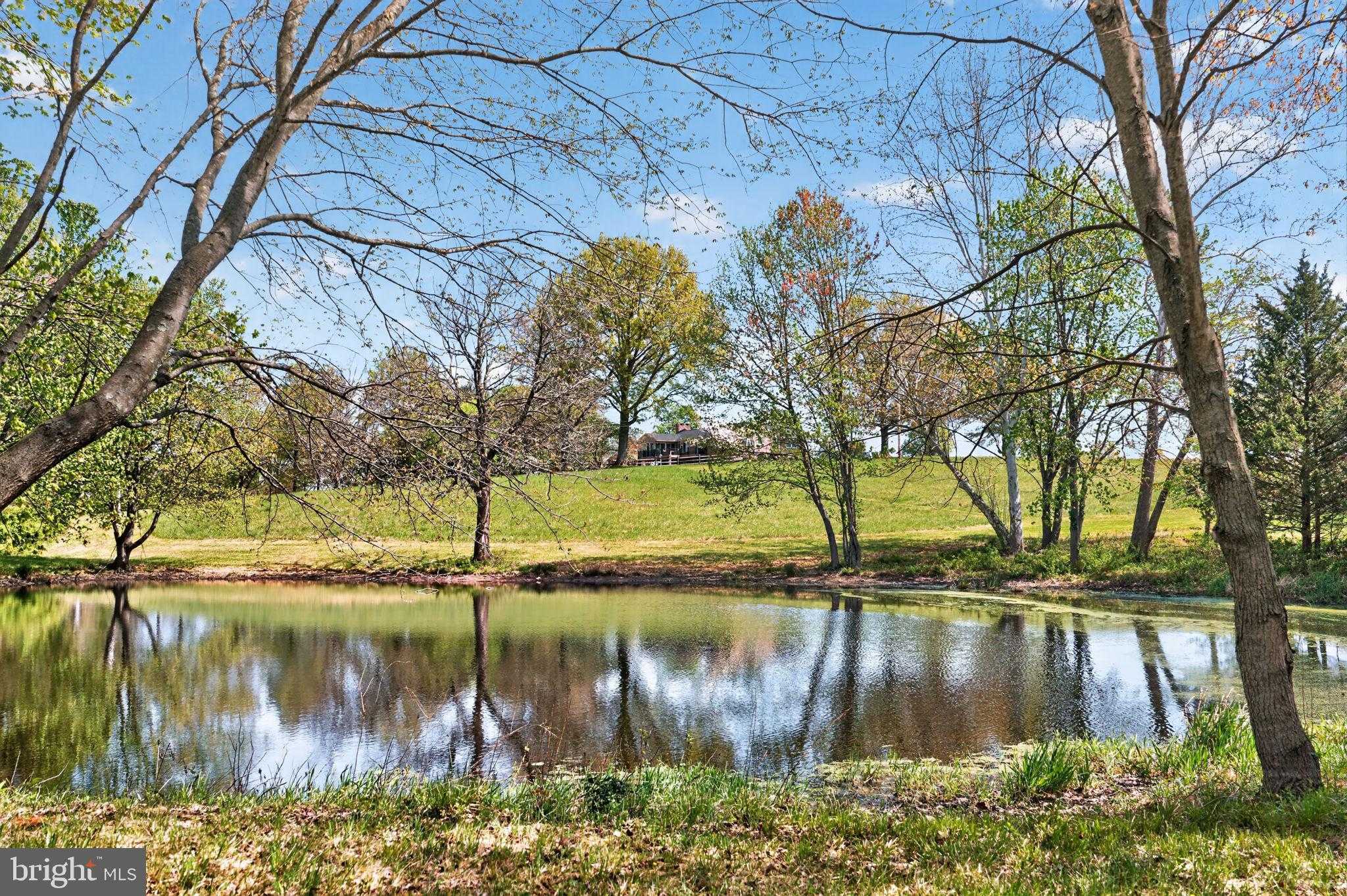 185 Black Matt Rd photo 3