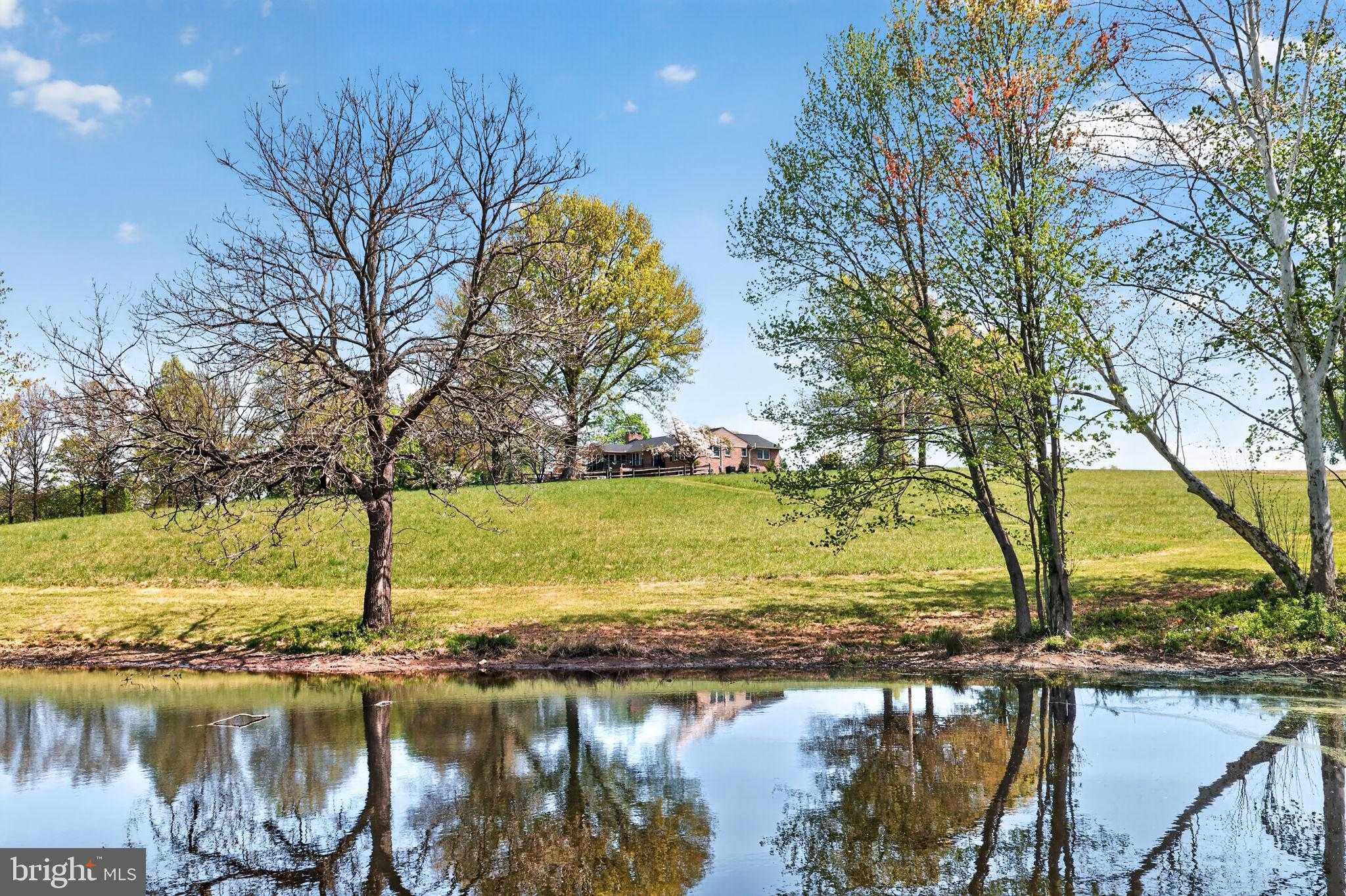 185 Black Matt Rd photo 71