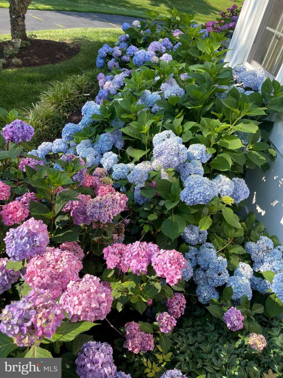 608 Nalls Farm Way photo 104