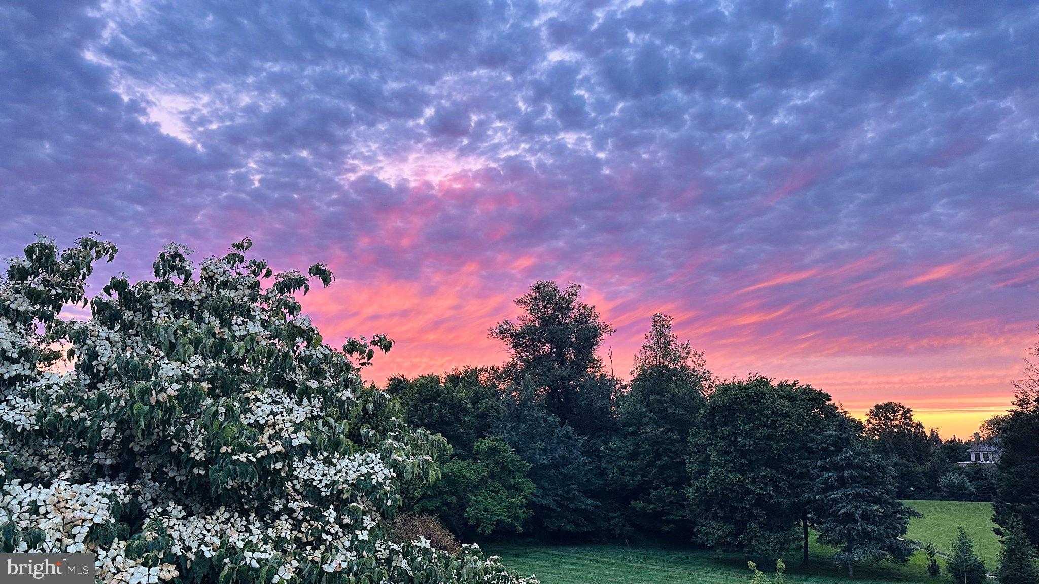 608 Nalls Farm Way photo 92